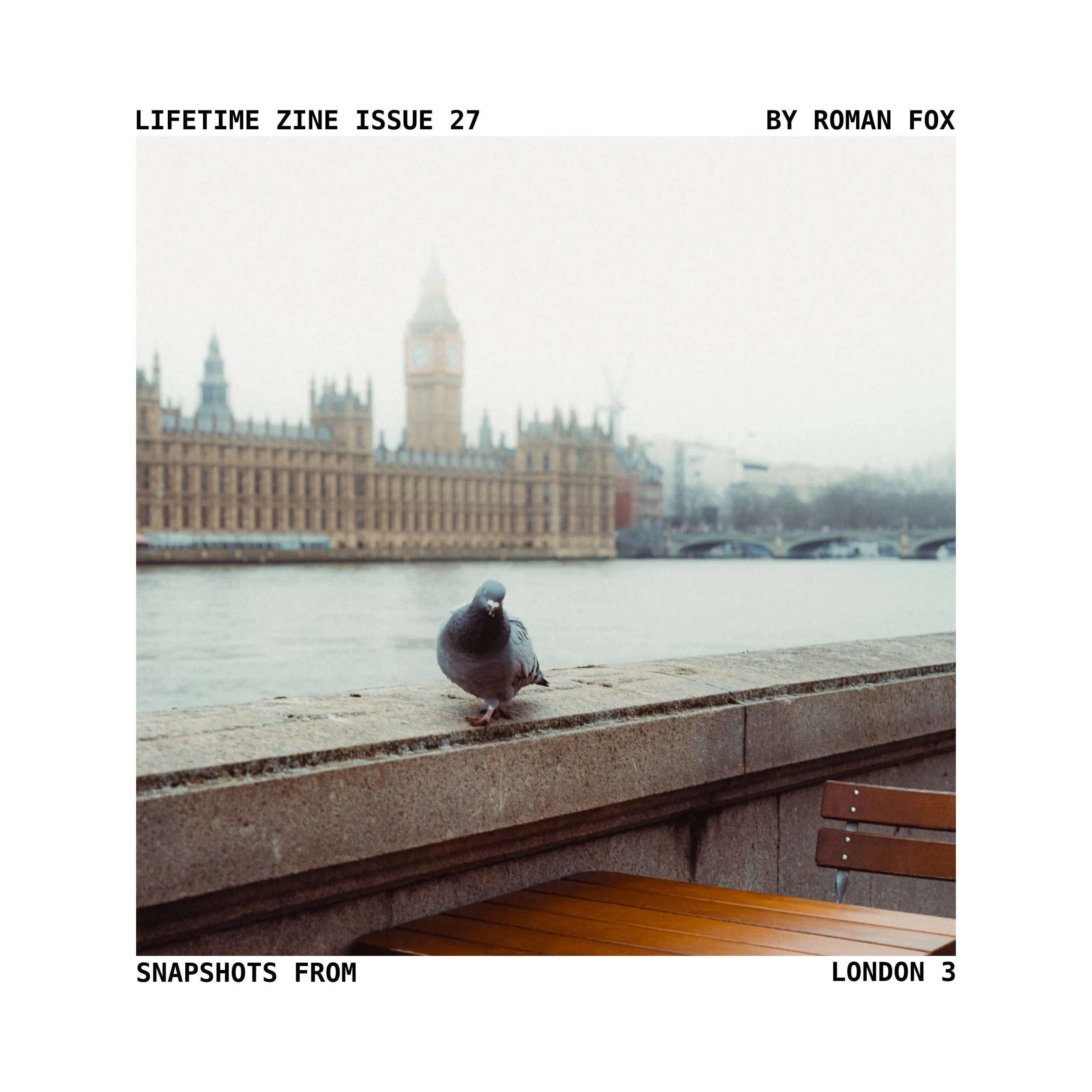 Lifetime Zine By Roman Fox — Roman Fox